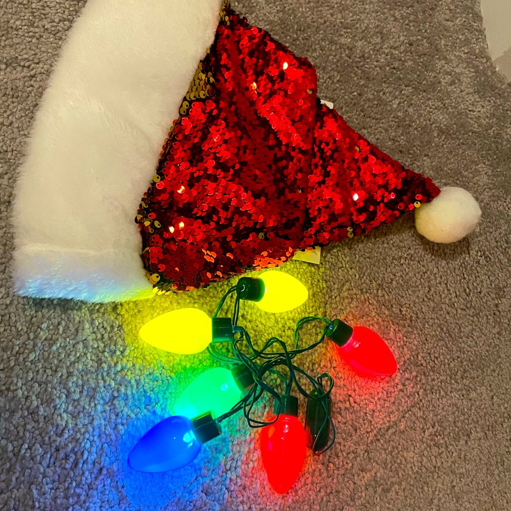 NWT holiday christmas fun hat + blonking lights bundle